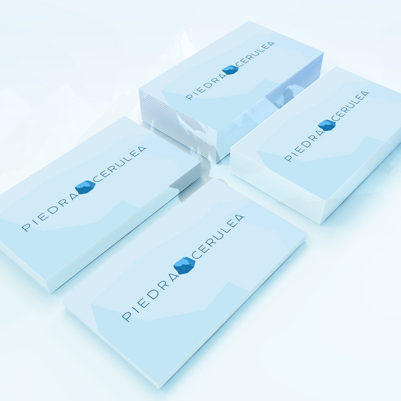 business cards design broward dade thynks_0000_Business Card Mockup Vol.11